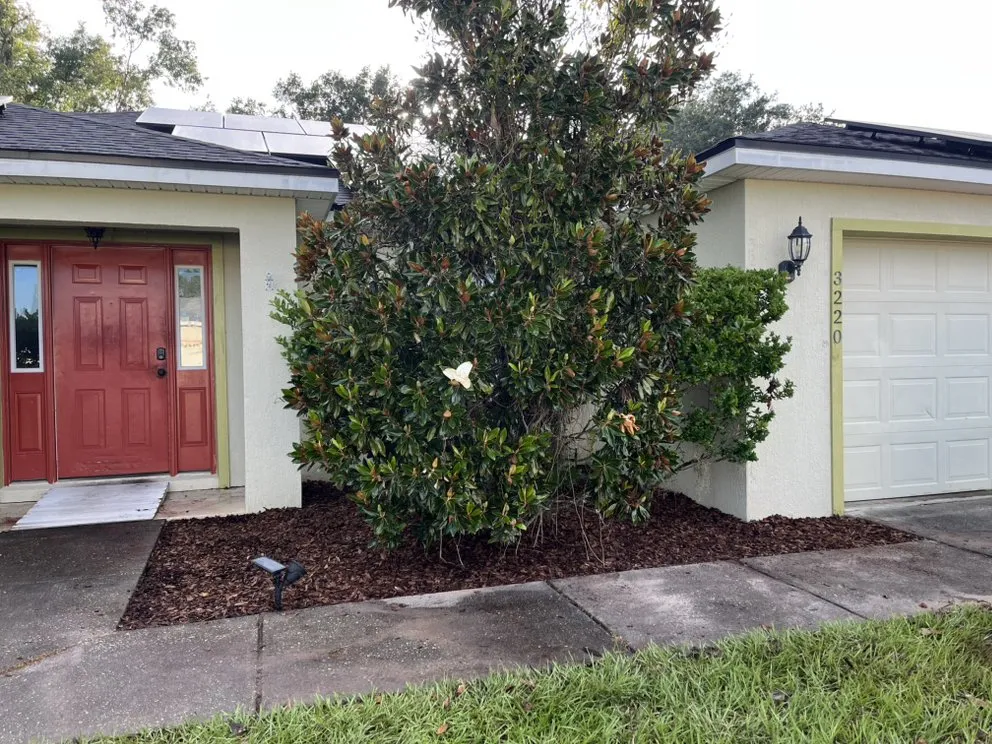 Professional landscape design for outdoor upgrades across Lithia, FL - GreenRoots Outdoor Solutions