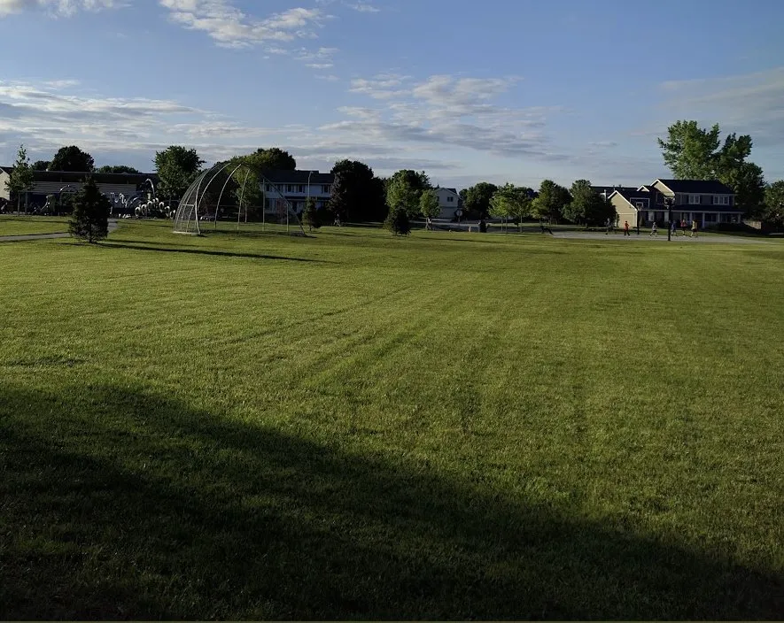 Local yard cleanup service in West Des Moines, IA by GreenRush Lawn Service