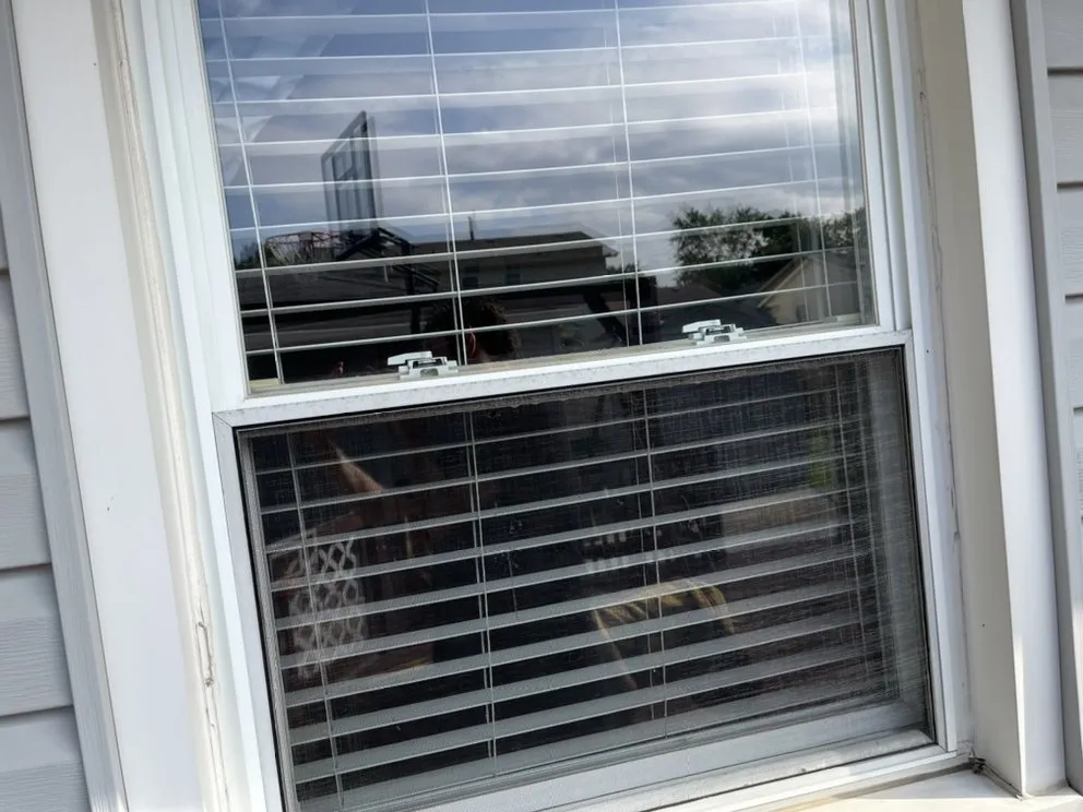 Expert garden landscaping experts serving Elk Grove Village, IL - Greens Bros