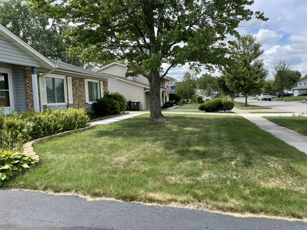 Top-rated landscape design in Elk Grove Village, IL - Greens Bros