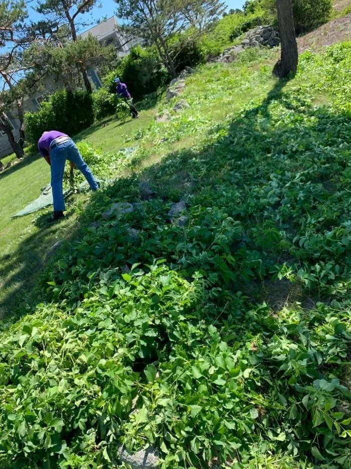 Local landscaping services in Sanford, ME - Greens Four Season Lawn Care