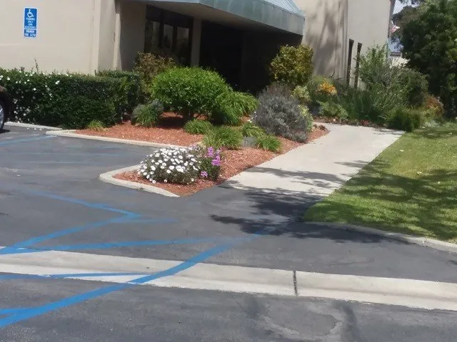 Reliable landscaping services in San Juan Capistrano, CA - Green's Gardening & Landscaping