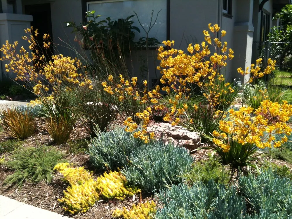 Professional garden landscaping in Berkeley, CA - Green's Gardens