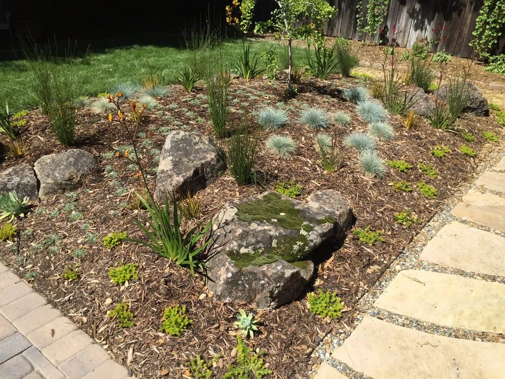 Professional outdoor landscaping in Berkeley, CA - Green's Gardens