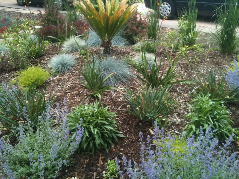 Expert garden landscaping in Berkeley, CA - Green's Gardens