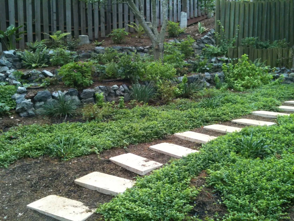 Professional landscaping services for homes in Berkeley, CA by Green's Gardens