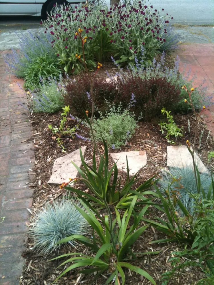 Affordable garden landscaping in Berkeley, CA - Green's Gardens
