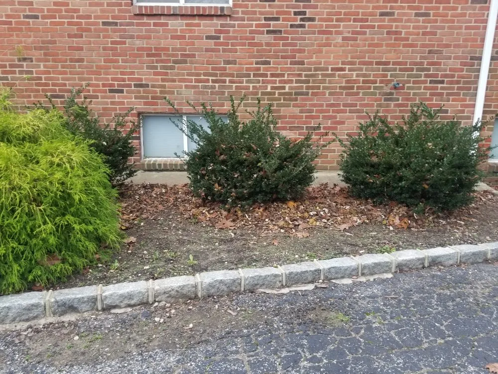 Professional landscape design for year-round maintenance across Wantagh, NY - Greens Keeper of Nassau