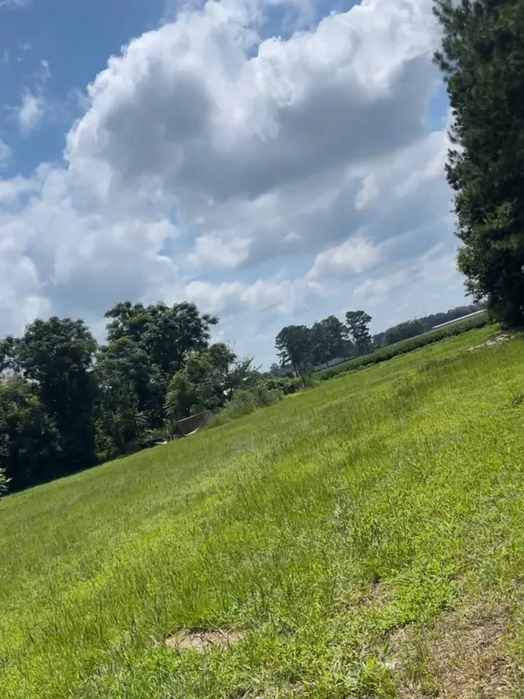 Expert yard maintenance in Rowland, NC - Greens Landscape