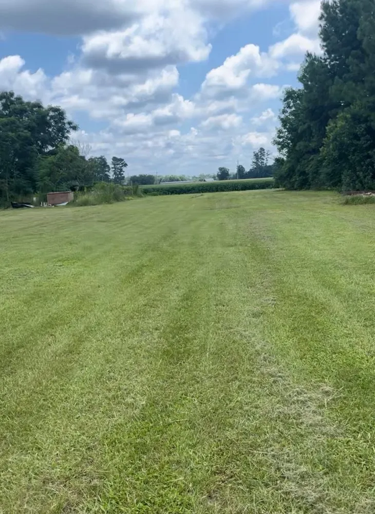 Trusted landscaping services for year-round maintenance in Rowland, NC by Greens Landscape