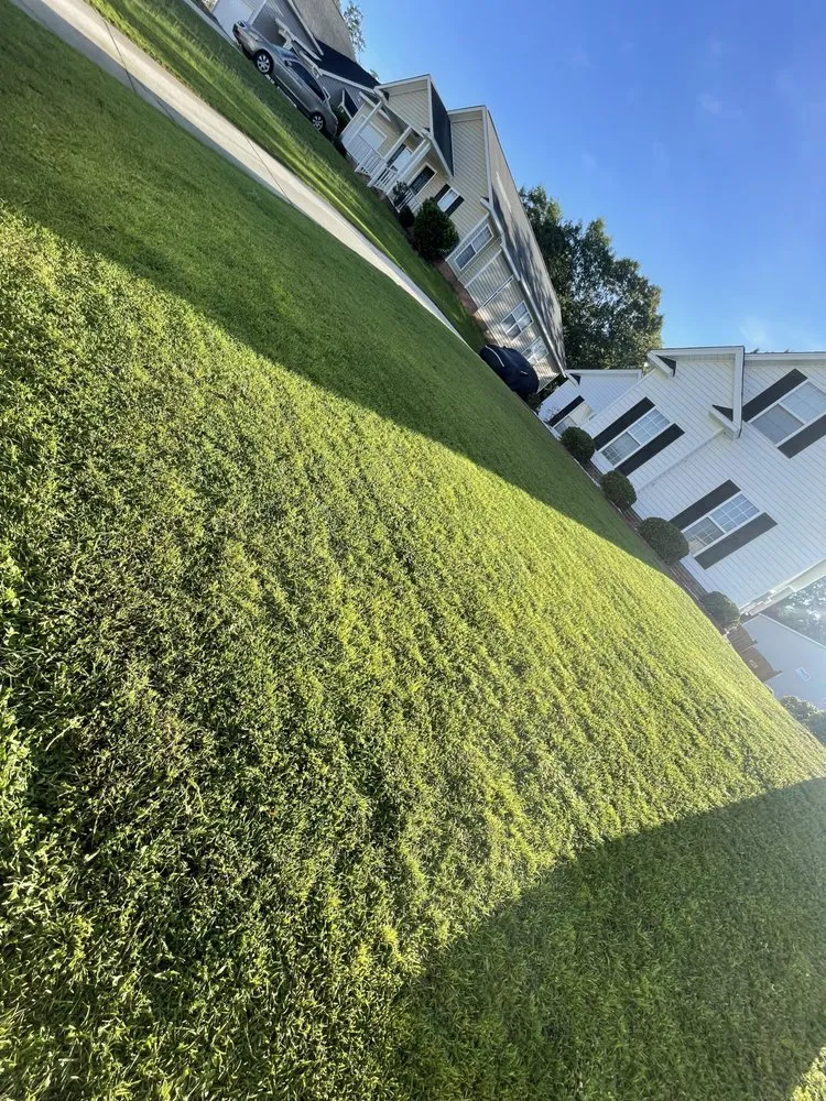 Trusted yard maintenance in Ridgeway, SC by Greens Landscaping