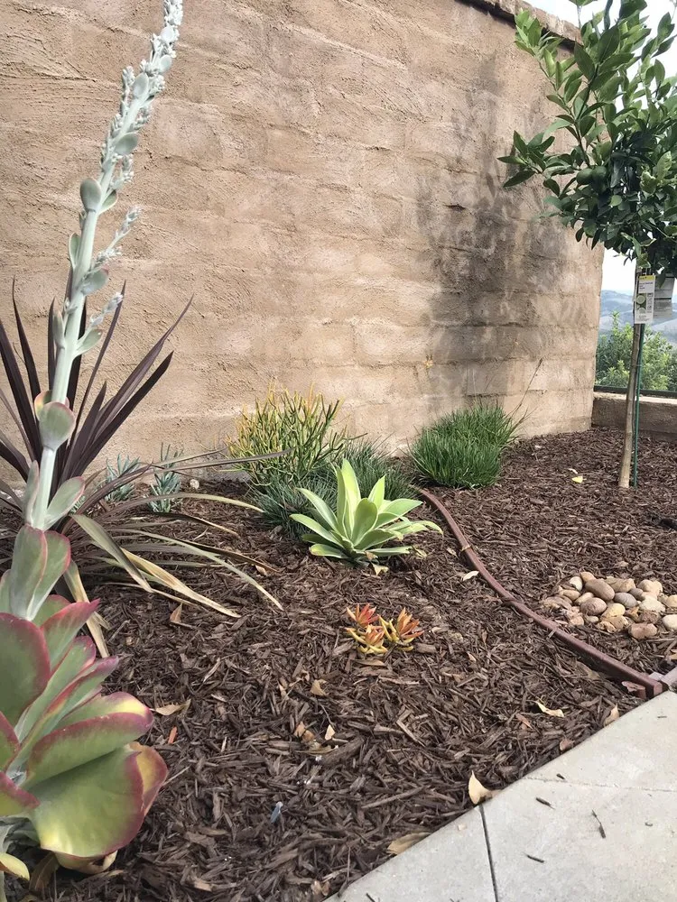 Custom landscaping services for homes across San Juan Capistrano, CA - Green's Landscaping