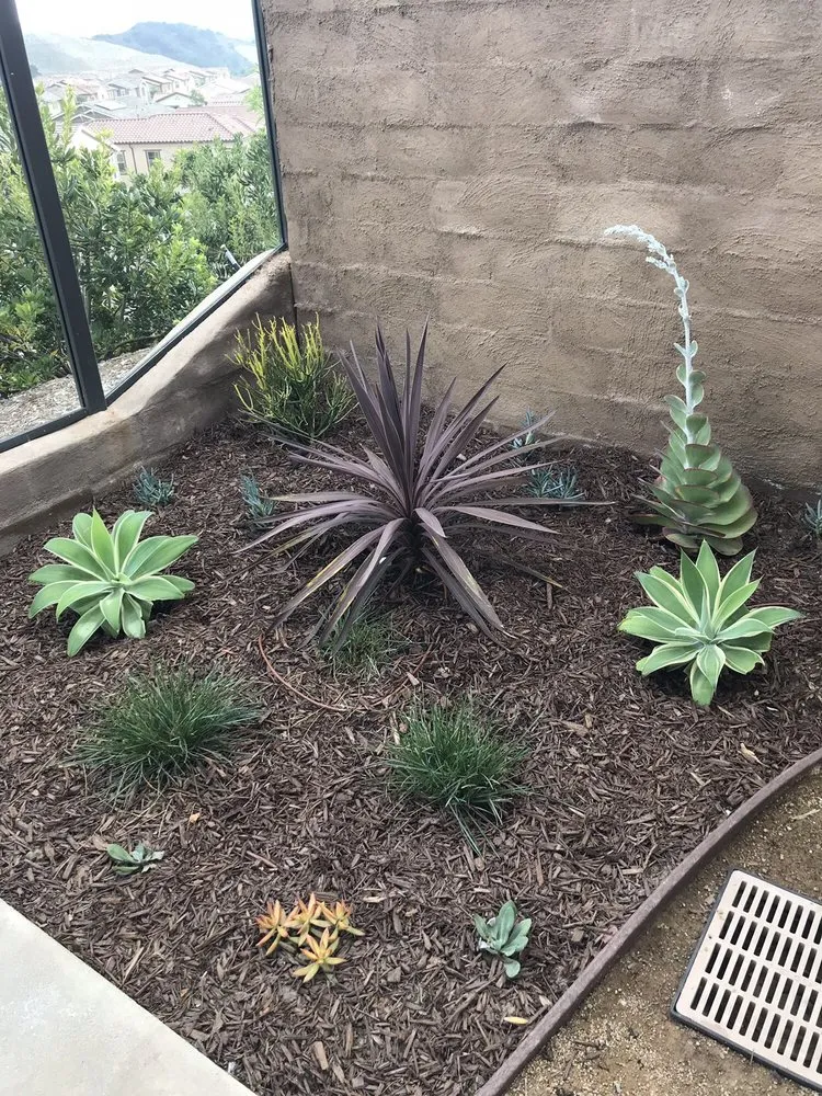 Expert lawn care service with custom design across San Juan Capistrano, CA - Green's Landscaping