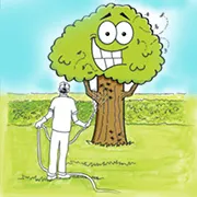 Reliable landscaping services in Frankfort, KY - Green's Lawn Care