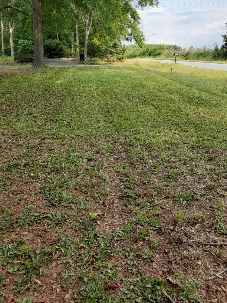 Local lawn mowing service in Monroe, GA by Greens Lawn Care