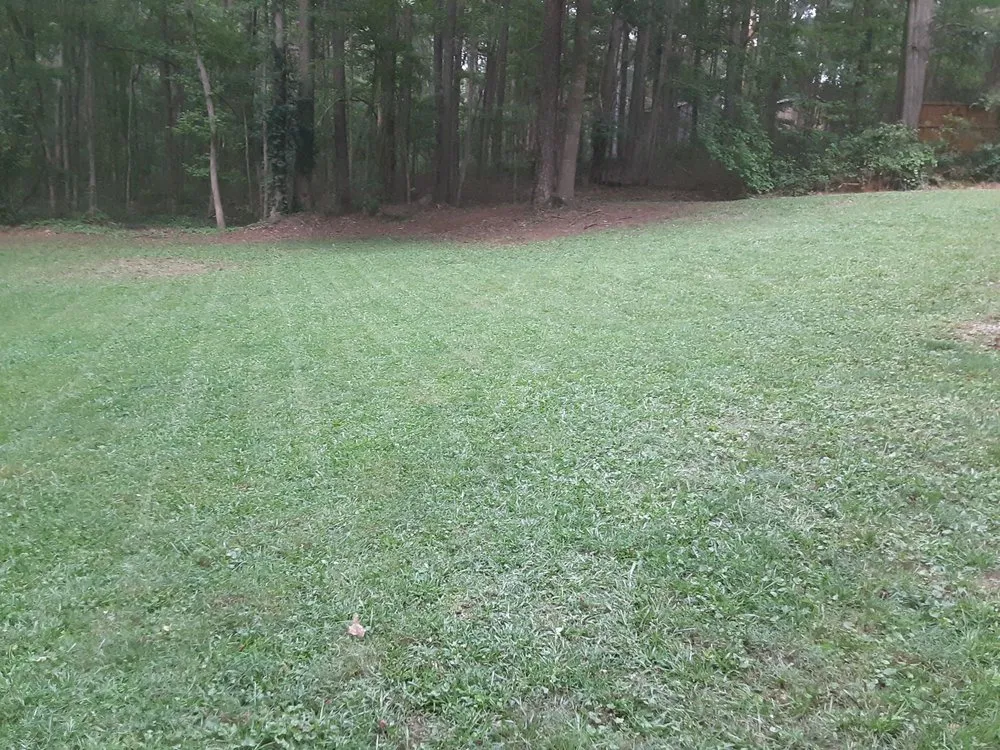 Trusted landscape installation in Monroe, GA by Greens Lawn Care