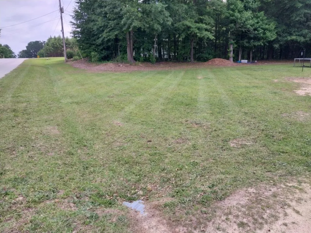Professional yard cleanup service in Monroe, GA - Greens Lawn Care
