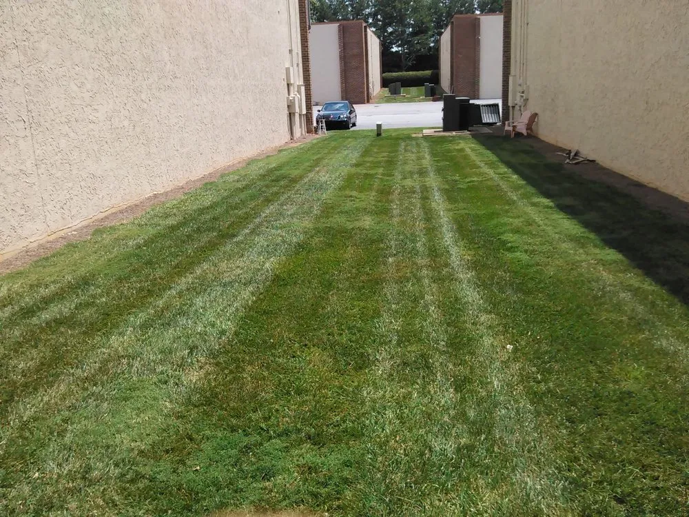 Professional landscaping services near you across Monroe, GA - Greens Lawn Care