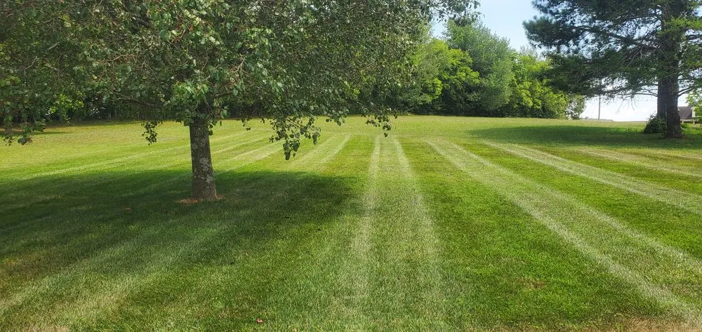 Custom yard maintenance experts serving Normandy, TN - Green’s Lawn Care