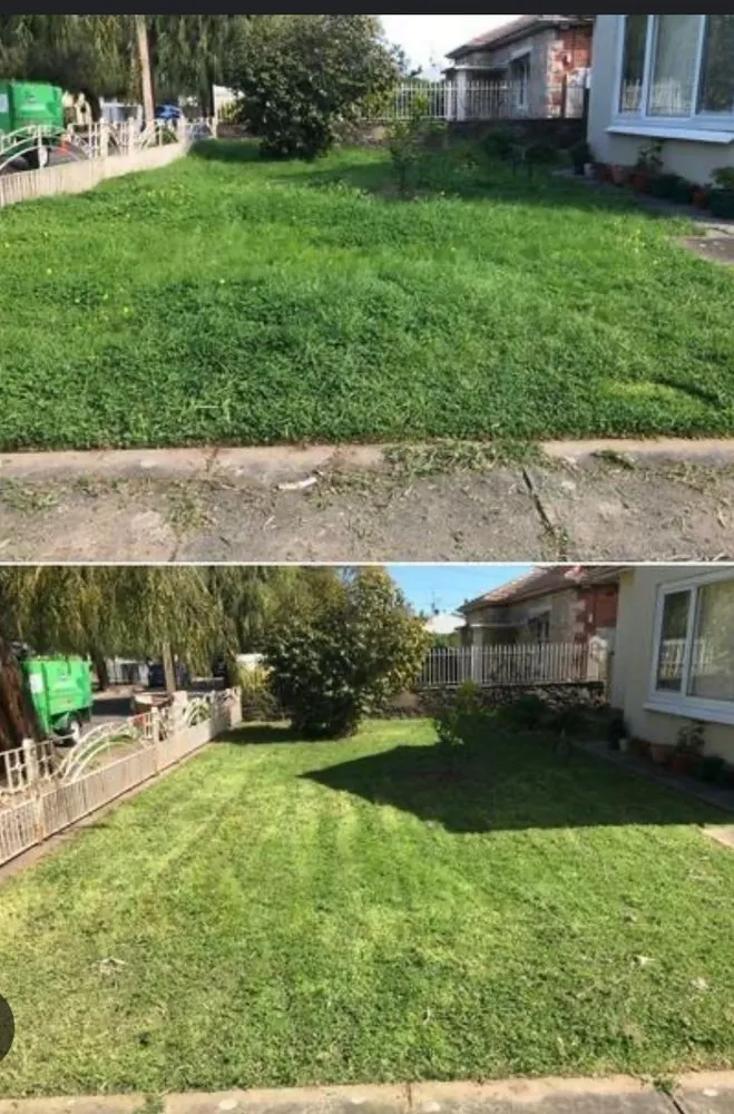 Local landscape design for outdoor upgrades across Suwanee, GA - Green’s lawn care