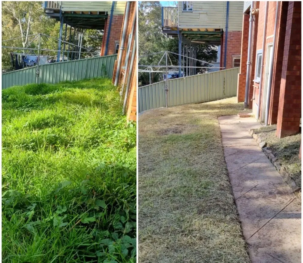 Reliable yard maintenance in Suwanee, GA - Green’s lawn care