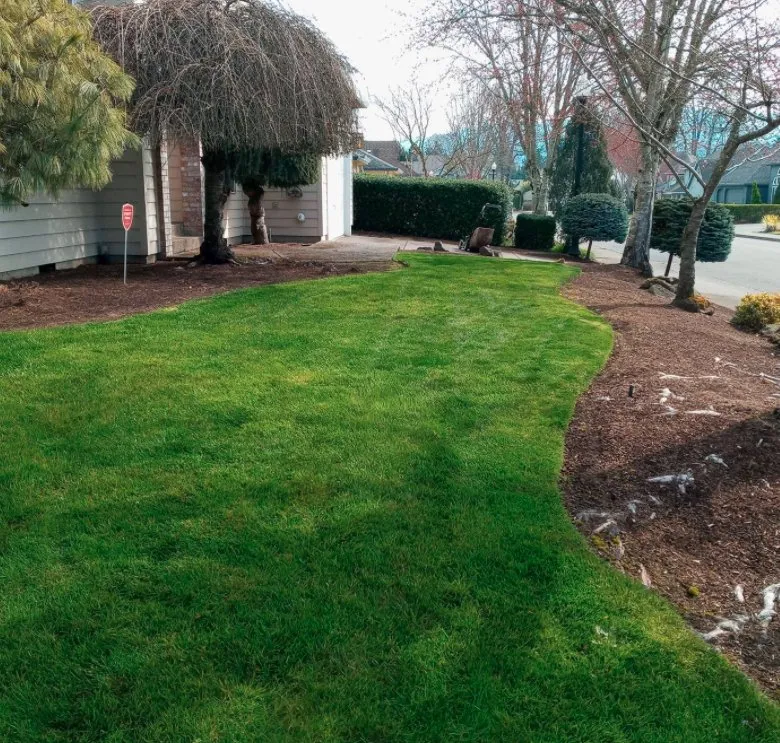 Reliable yard cleanup service experts serving Hillsboro, OR - Green's Lawn Service
