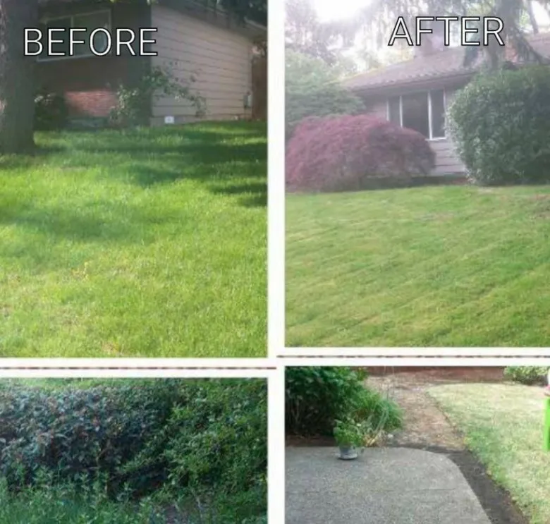 Trusted yard maintenance in Hillsboro, OR - Green's Lawn Service