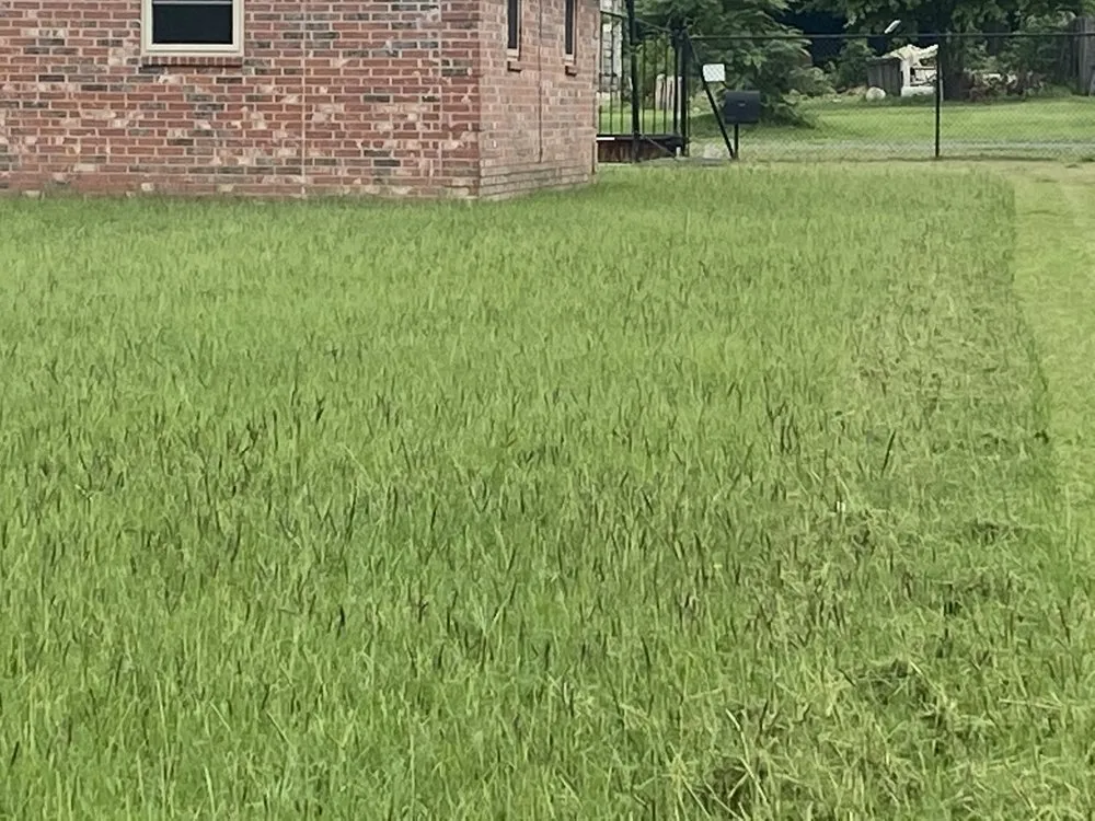 Top-rated landscaping services for homes in Whitehouse, TX by Green’s Lawn Service