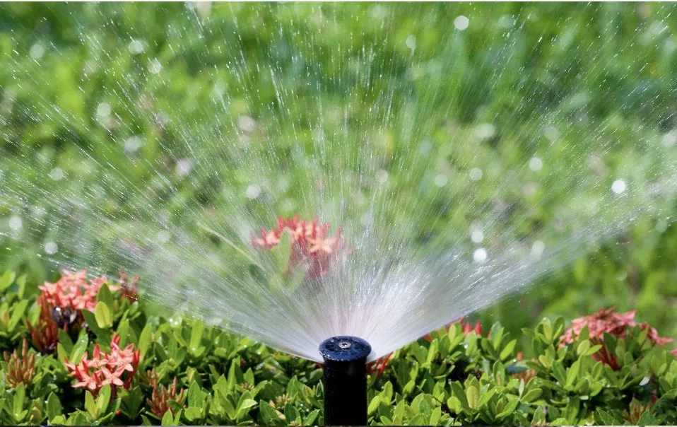 Affordable landscaping services in Lutz, FL - Green's Lawn Sprinklers