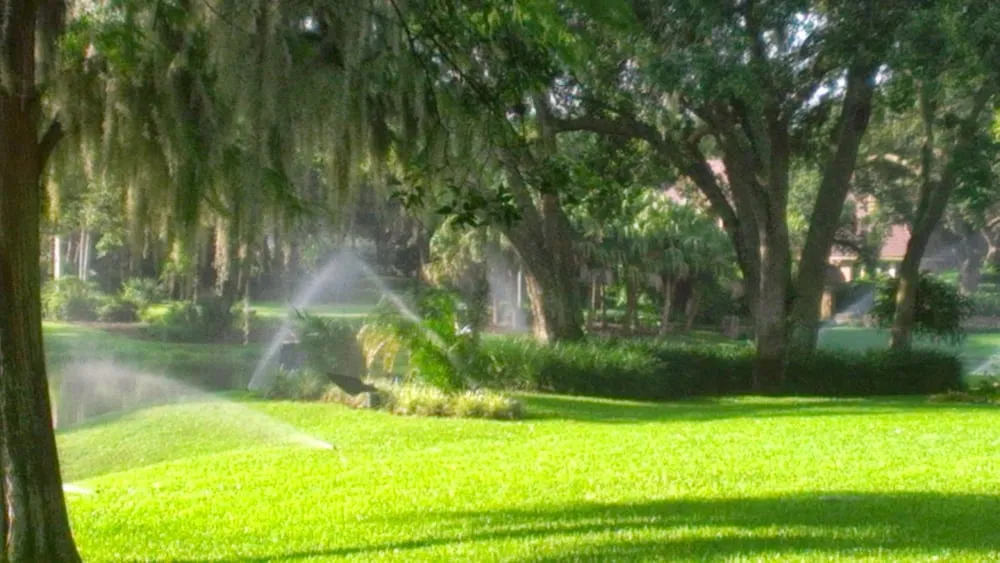 Affordable residential landscaping in Lutz, FL by Green's Lawn Sprinklers