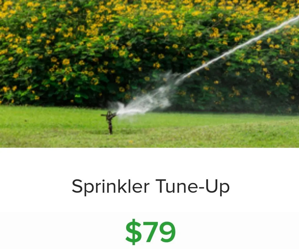 Reliable residential landscaping with custom design in Lutz, FL by Green's Lawn Sprinklers