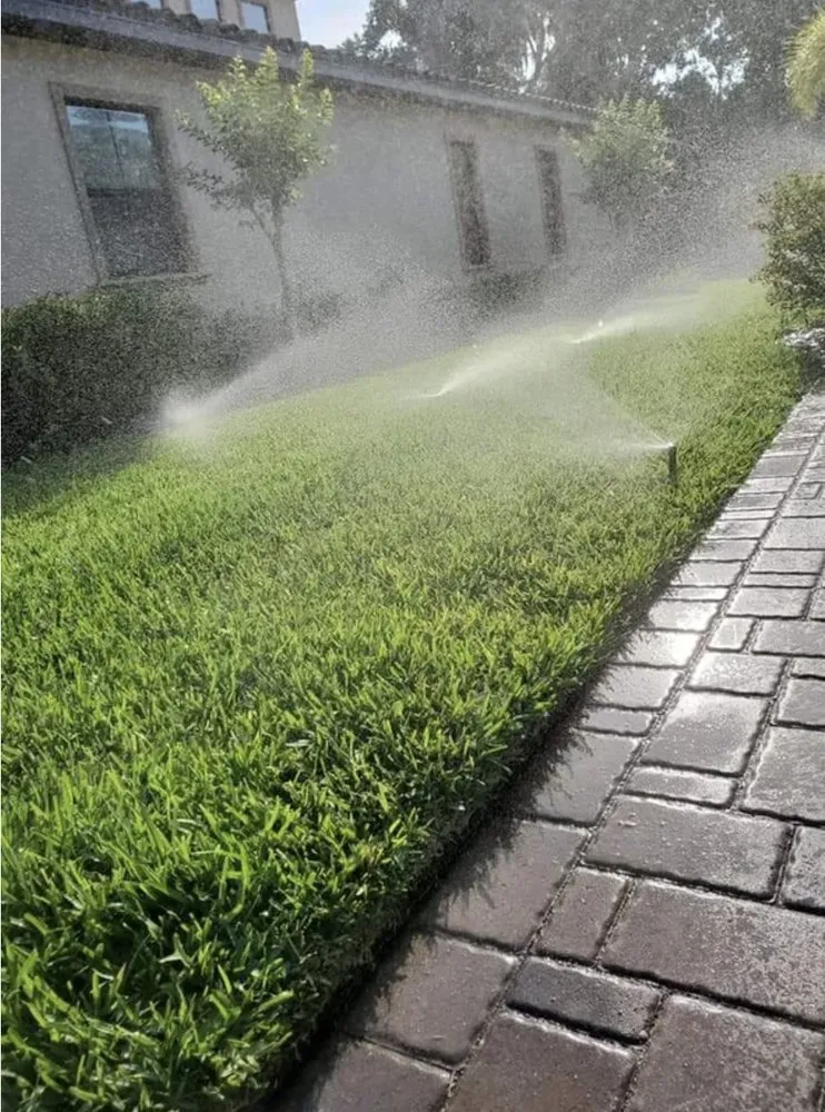 Expert landscaping services in Lutz, FL - Green's Lawn Sprinklers