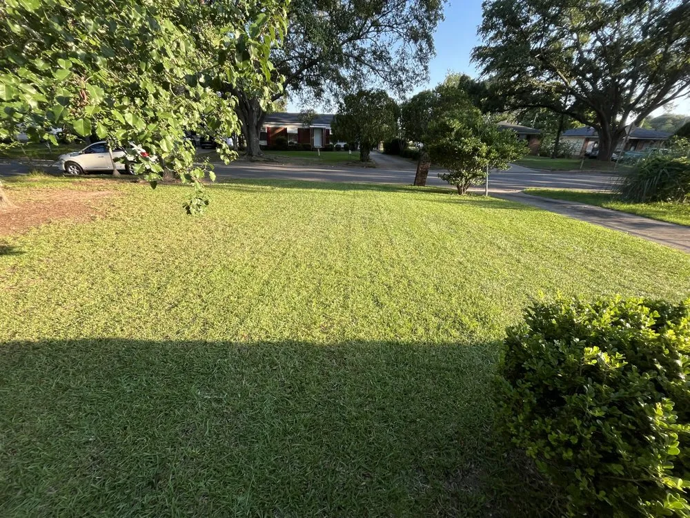 Affordable outdoor landscaping in Albany, GA - Green’s Lawncare