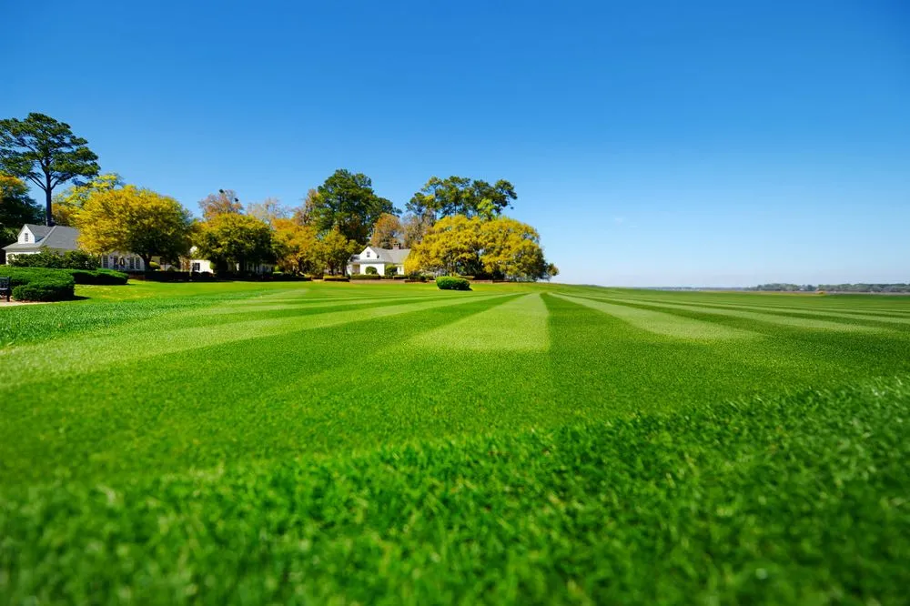 Expert garden landscaping experts serving Kodak, TN - Greens Lawncare