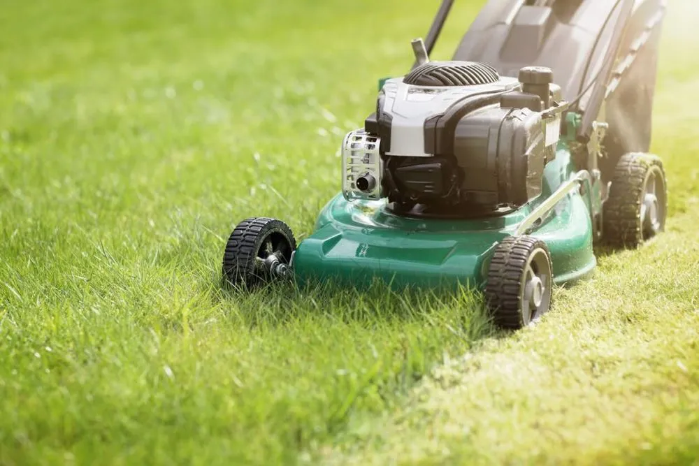 Local residential landscaping for year-round maintenance in Kodak, TN by Greens Lawncare