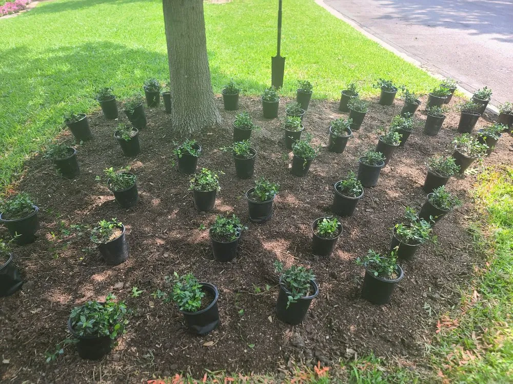 Custom landscaping services experts serving Lorena, TX - Greens Lawnscaper