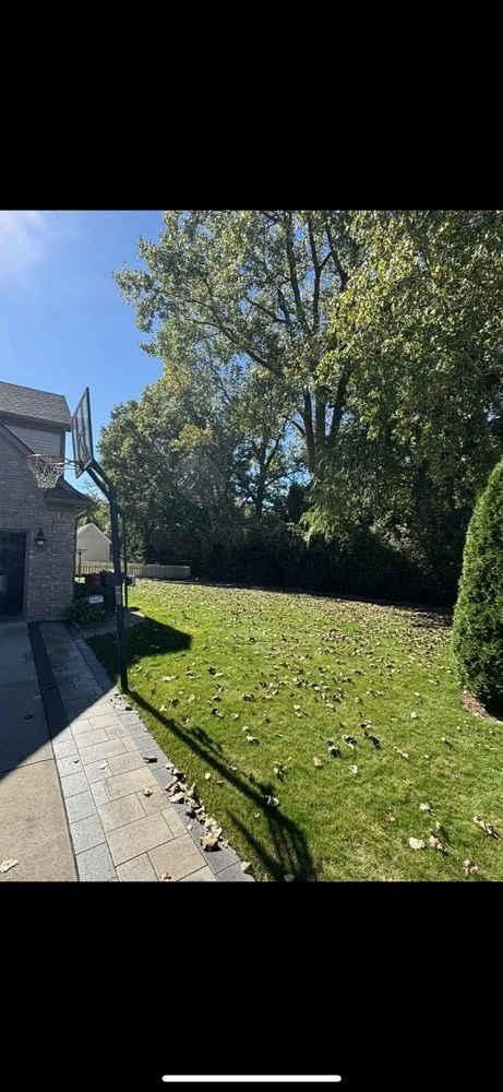 Trusted landscape design in Harrison Township, MI - Green’s Leaf Services