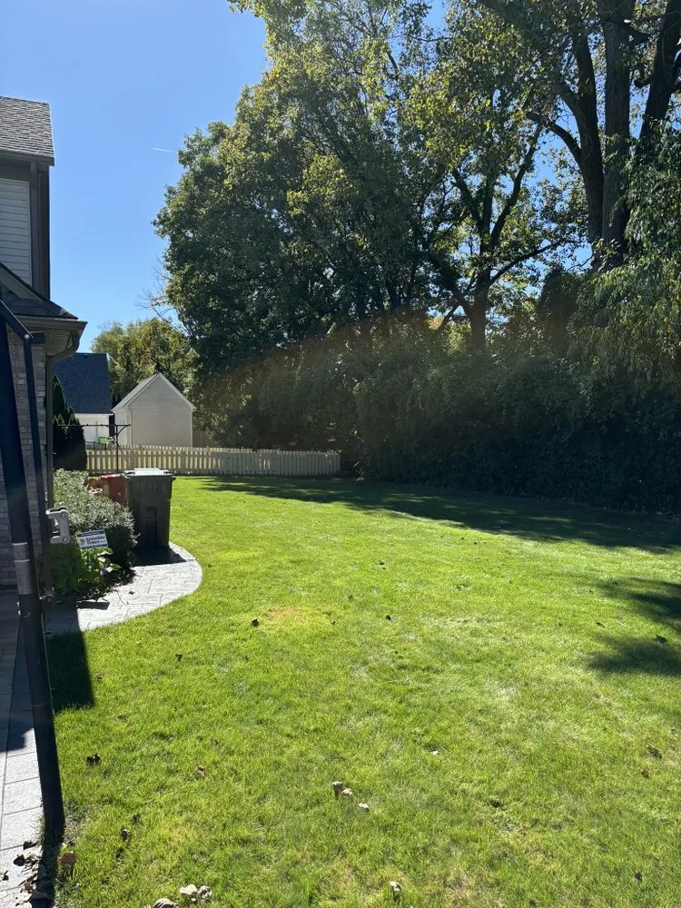 Reliable landscaping services for year-round maintenance across Harrison Township, MI - Green’s Leaf Services