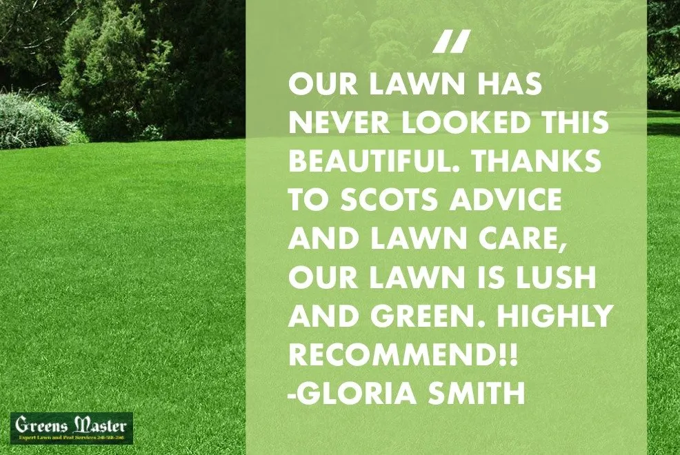 Professional lawn care service in Dryden, MI - Greens Master Lawn and Pest Control
