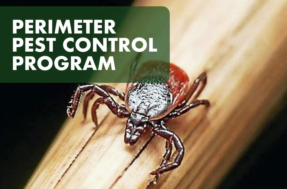 Custom yard maintenance for homes in Dryden, MI by Greens Master Lawn and Pest Control