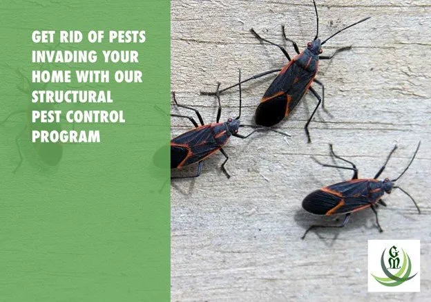 Affordable landscape installation for year-round maintenance across Dryden, MI - Greens Master Lawn and Pest Control