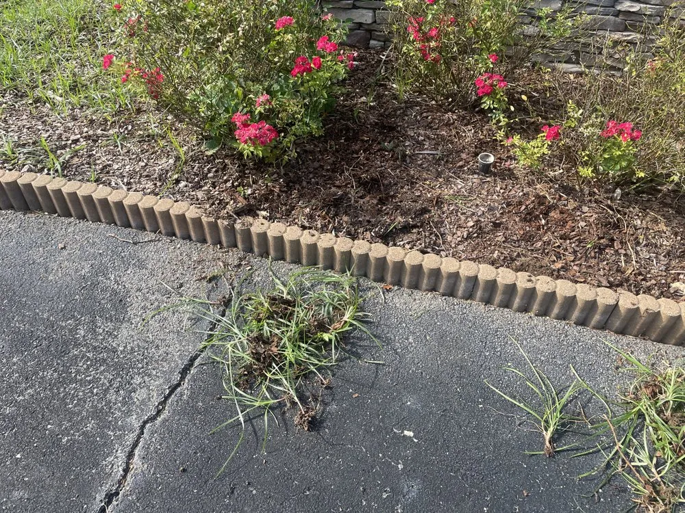 Local landscaping services experts serving West Blocton, AL - Green’s mowing