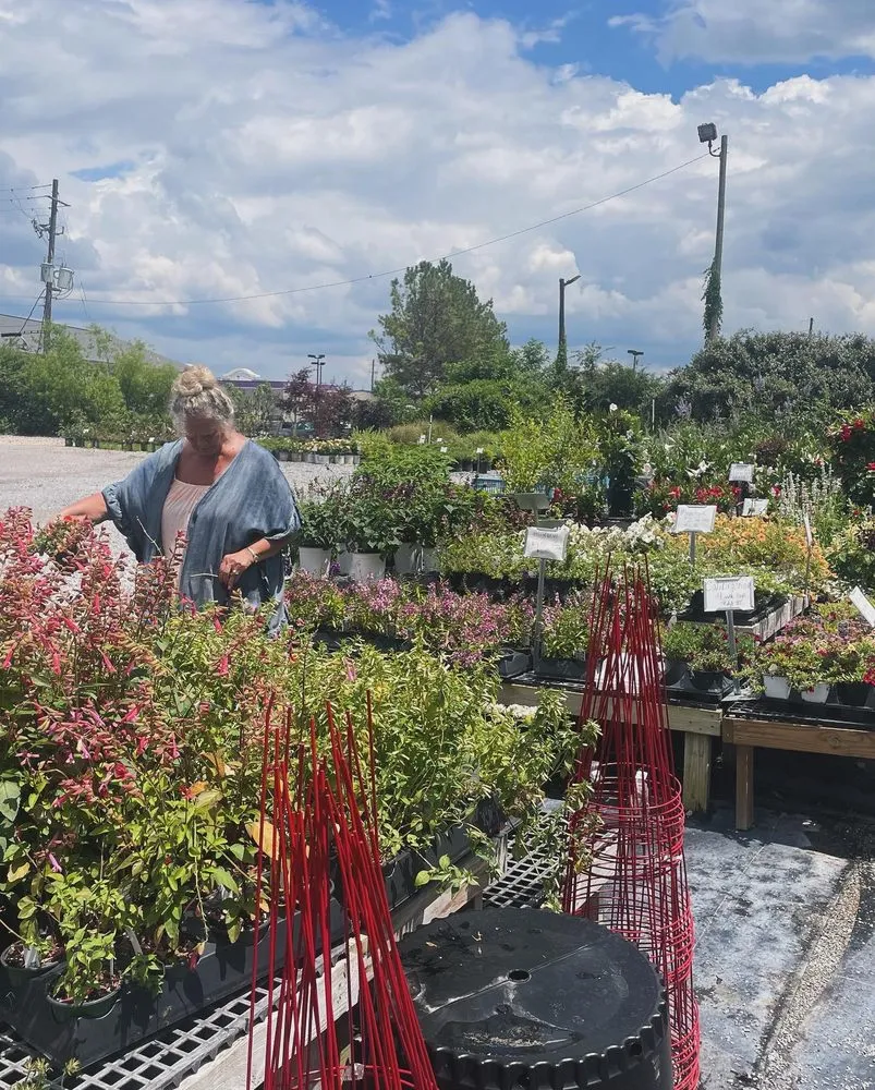 Custom yard maintenance for beautiful yards in West Blocton, AL by Green’s mowing