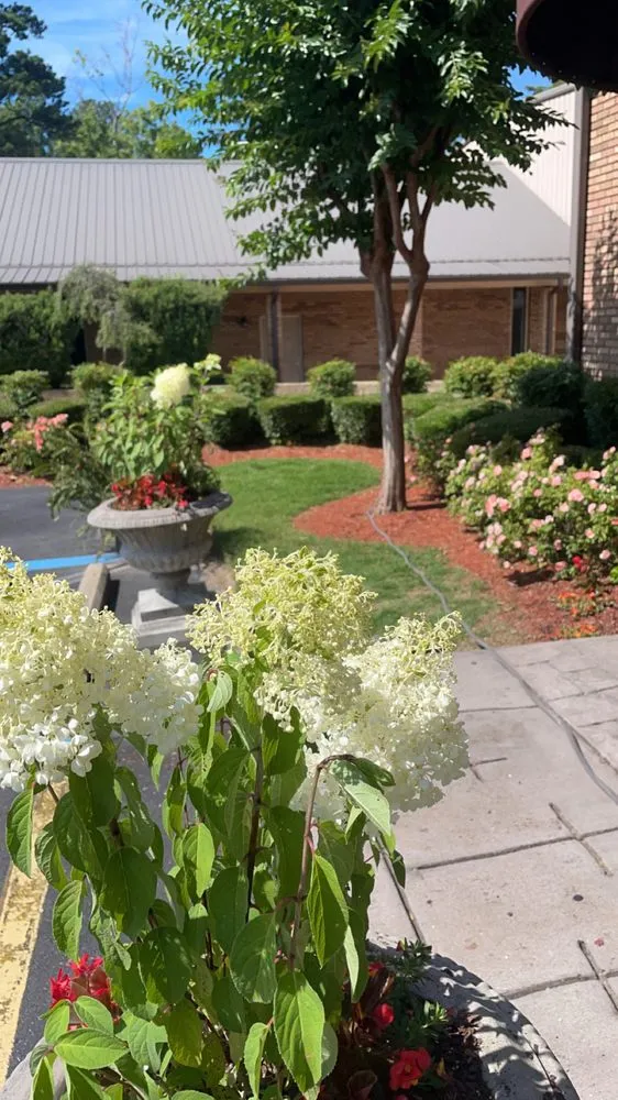 Reliable landscape installation in West Blocton, AL - Green’s mowing