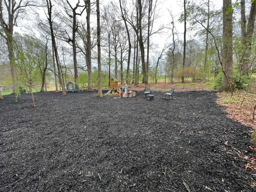 Professional residential landscaping in Claremont, NC by Green’s Preservation Services