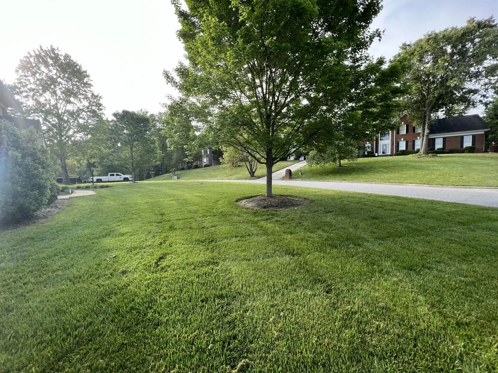 Custom landscape design for outdoor upgrades across Claremont, NC - Green’s Preservation Services