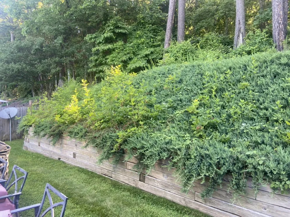 Expert landscape design in Wake Forest, NC - Greens R Us