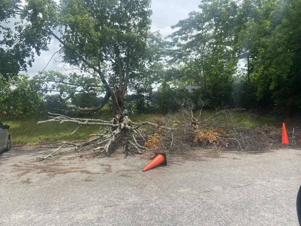 Custom residential landscaping in Wake Forest, NC - Greens R Us