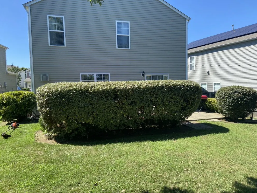 Reliable lawn care service in Wake Forest, NC by Greens R Us