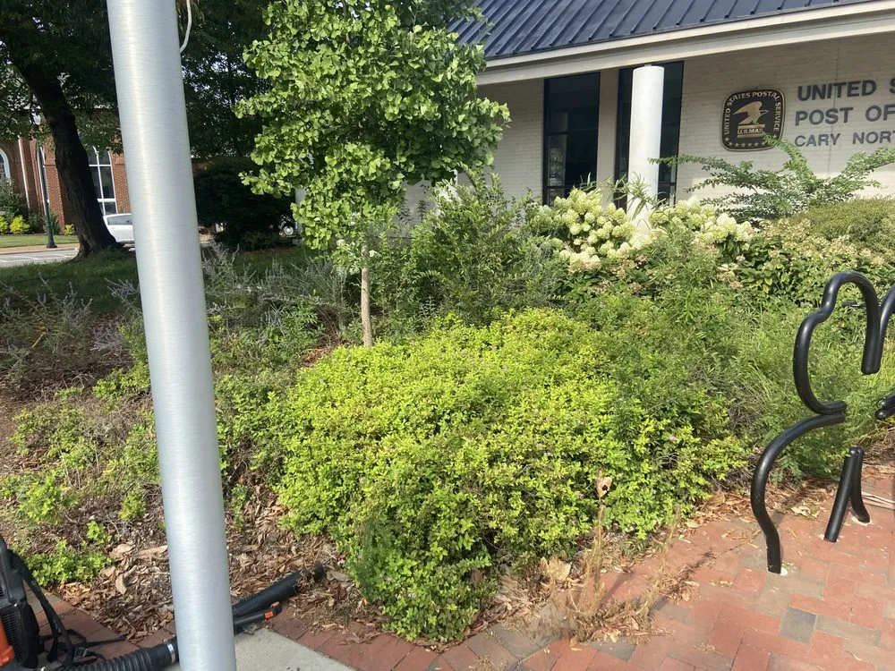 Professional landscape design in Wake Forest, NC by Greens R Us